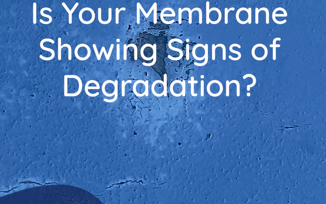 Key Signs of Membrane Degradation: How to Identify Aging and Wear & Tear