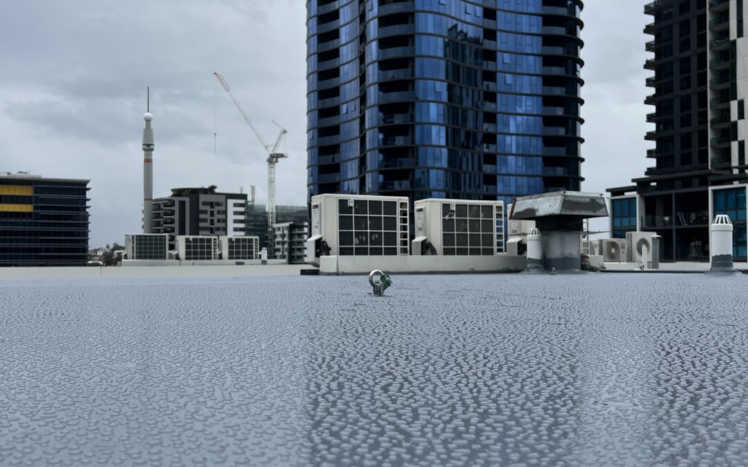 Water Drops on Membrane