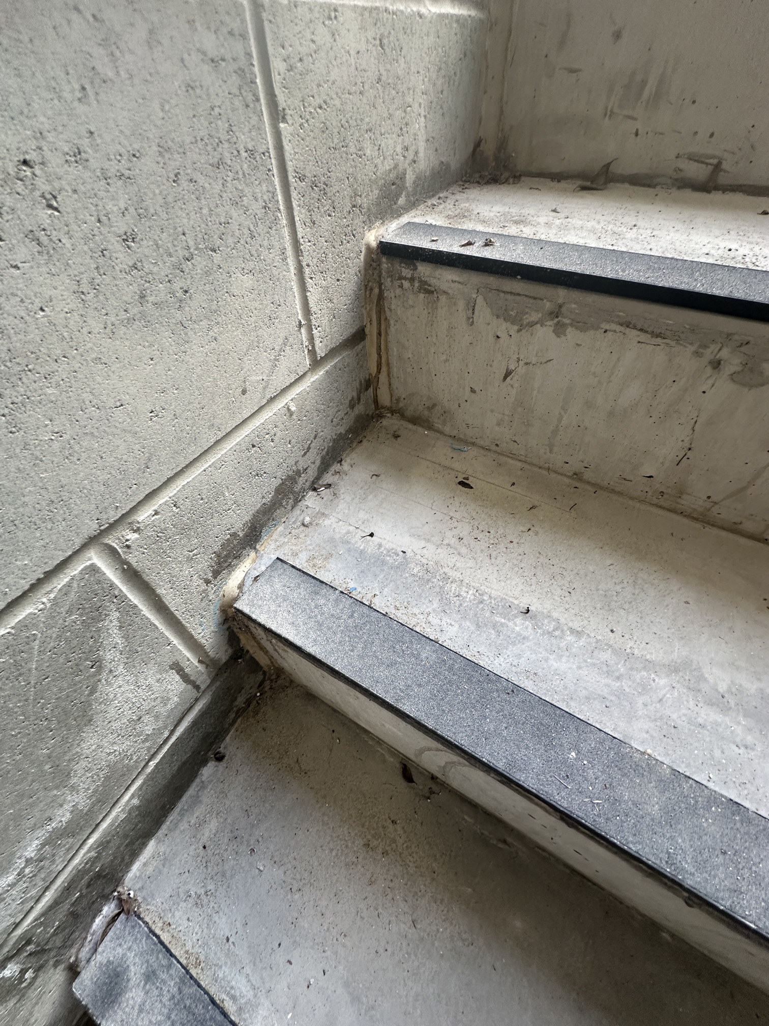 External Steps, angle from bottom of steps upwards. Stair Core with Water Ingress Issues - leaking into adjacent walls. Can see watermark stains on steps