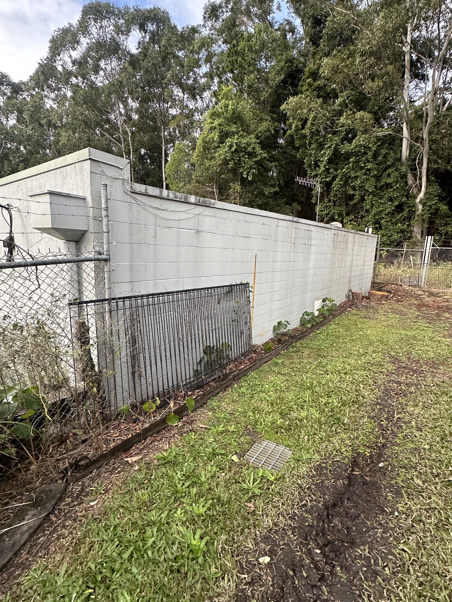 3736_11 Feb6 Image of a retaining wall, can't see the water ingress on this side but water ingress is leaching into the basement. Hence need for rectification.