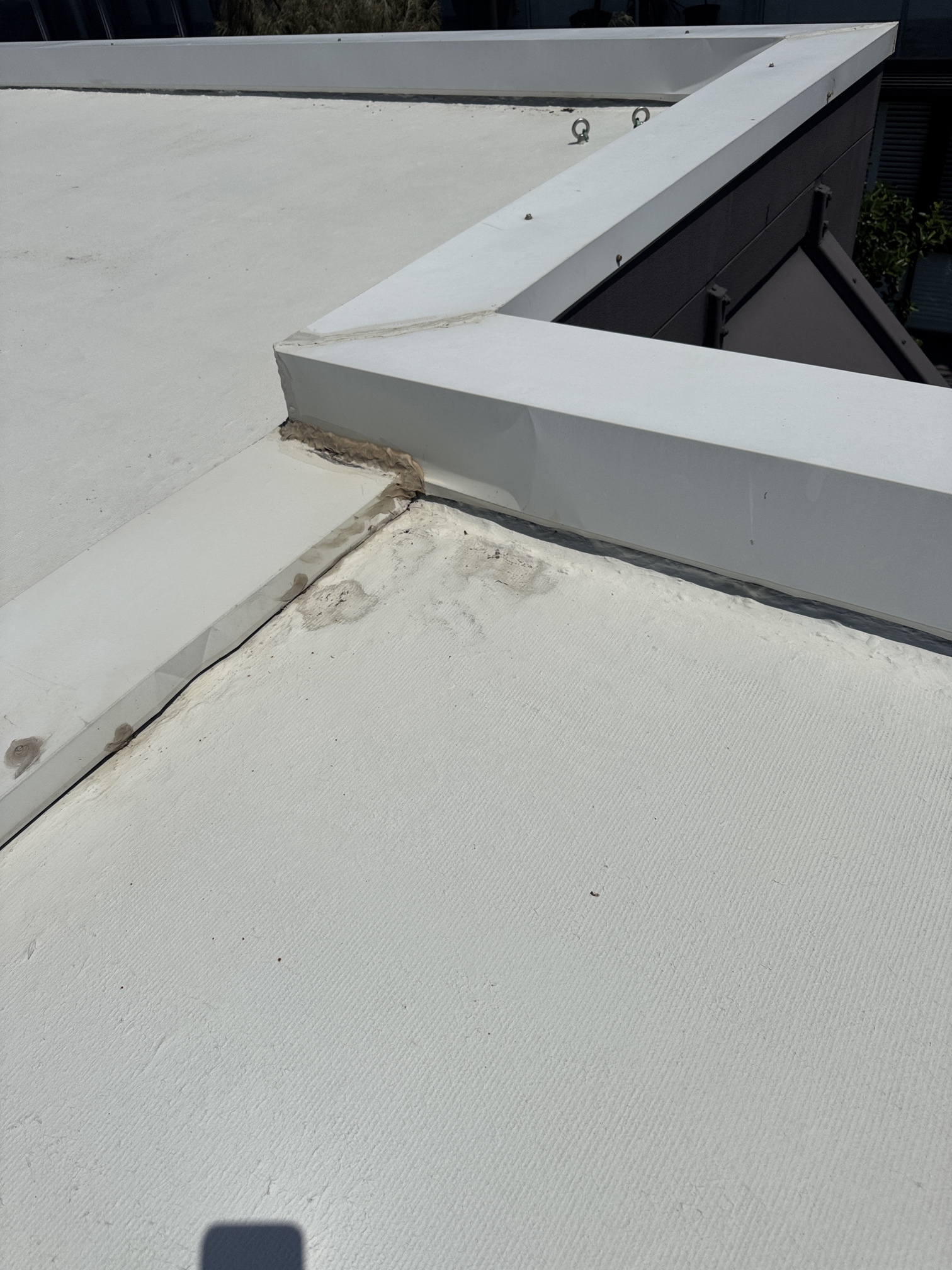 Photo-3